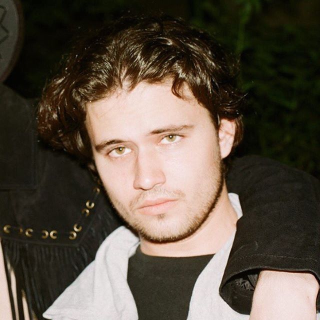 SalukiФото: Instagram