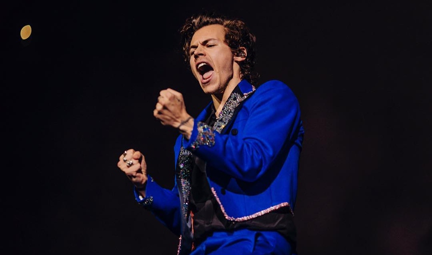 Гарри СтайлсФото: Элен Мари Памбран / Instagram