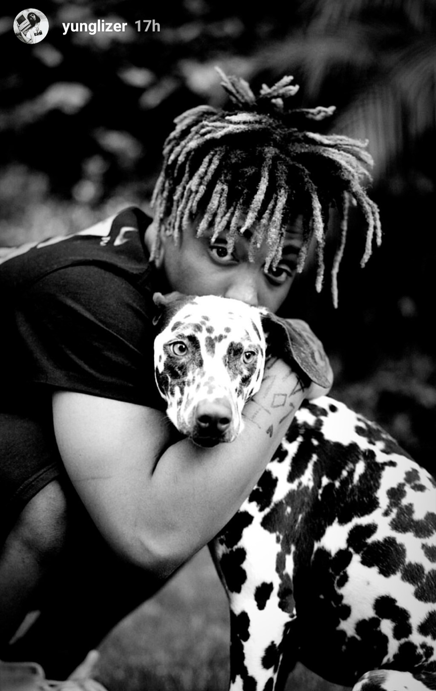 Дрейк, Холзи, Lil Nas X, Билли Айлиш и другие звёзды попрощались с Juice WRLD