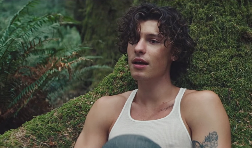 Шон Мендес​Фото: кадр из видео