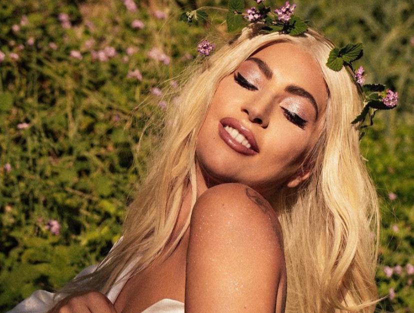 Леди ГагаФото: @christinehahn / Instagram