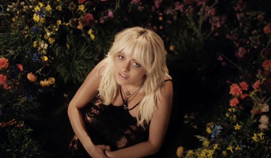 Биби РексаФото: кадр из клипа