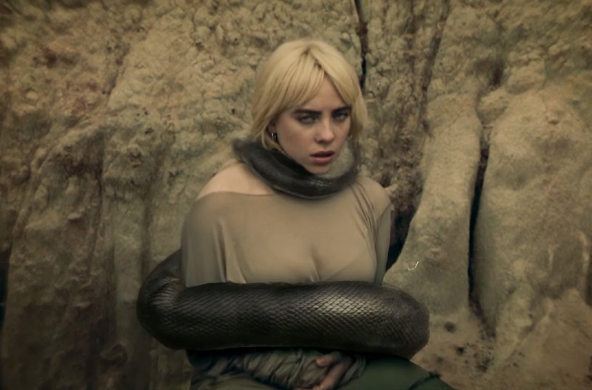 Билли Айлиш​Фото: кадр из клипа