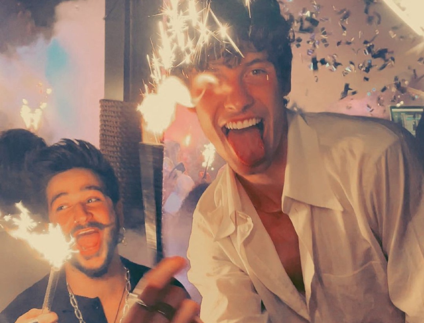 Камило, Шон Мендес​Фото: Instagram