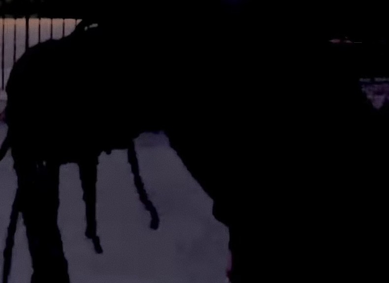 Фото: @burberry.erry